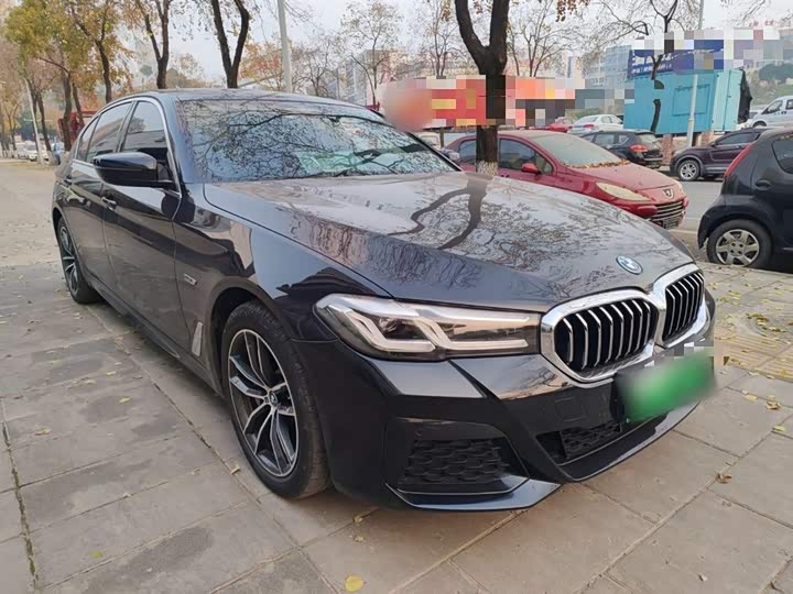 Фото 4 - BMW 5 Series Hybrid