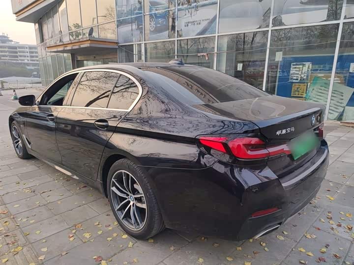 Фото 5 - BMW 5 Series Hybrid