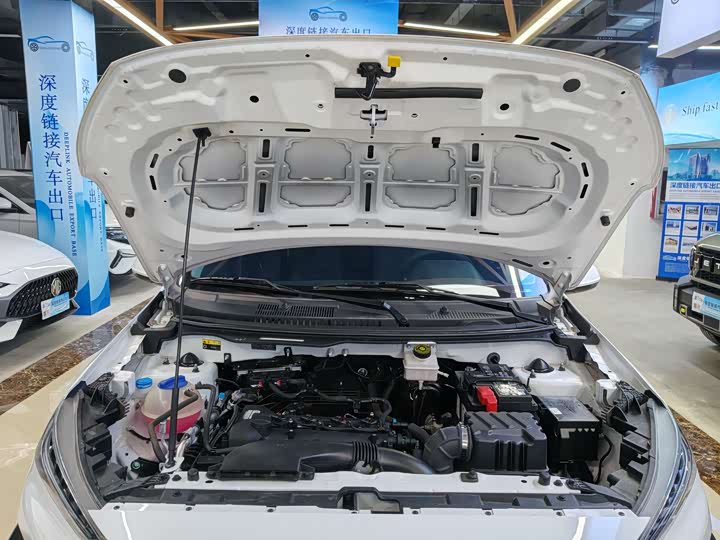 Фото 18 - Chery Tiggo 3x