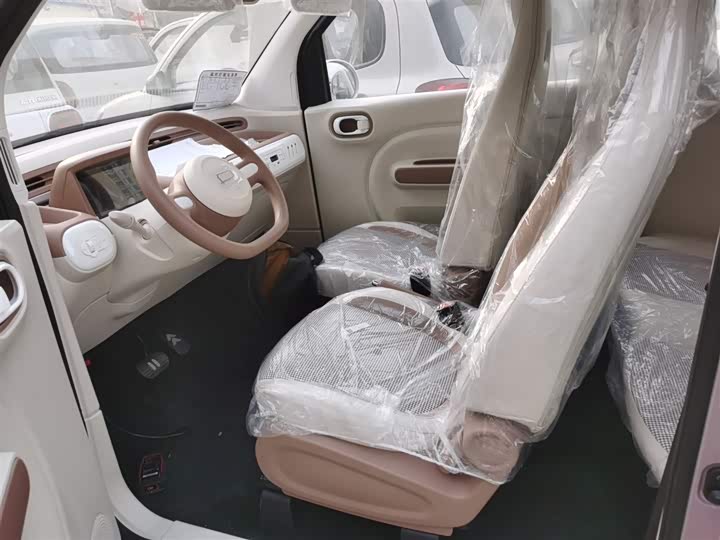 Фото 15 - Bestune Pony