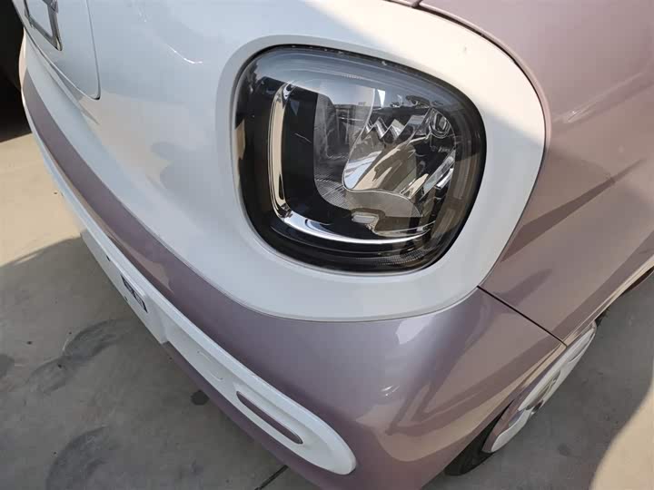 Фото 24 - Bestune Pony