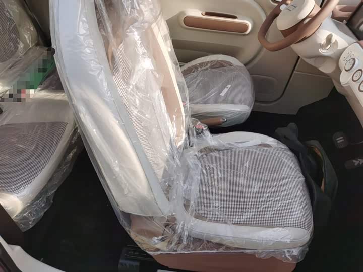 Фото 25 - Bestune Pony