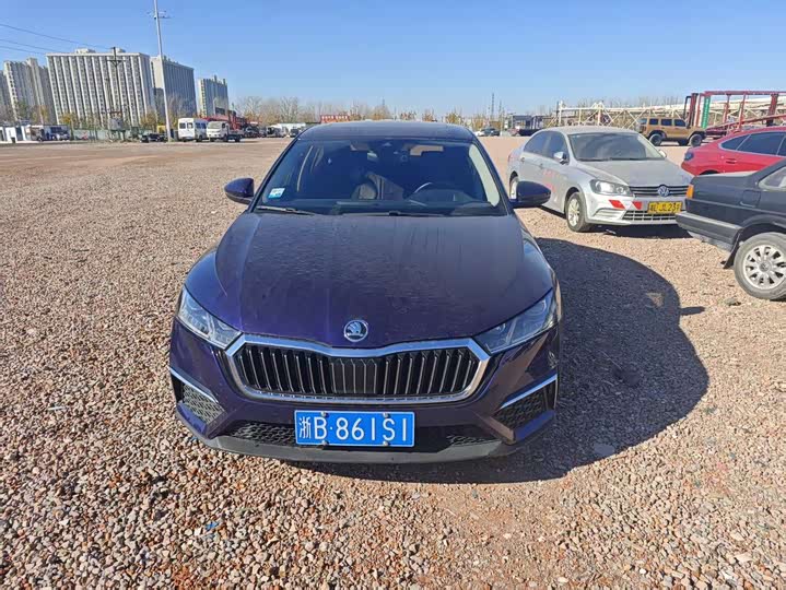 Фото 1 - Skoda Octavia Pro