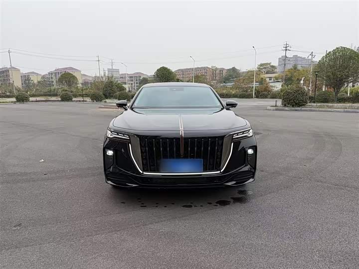 Фото 5 - Hongqi H9