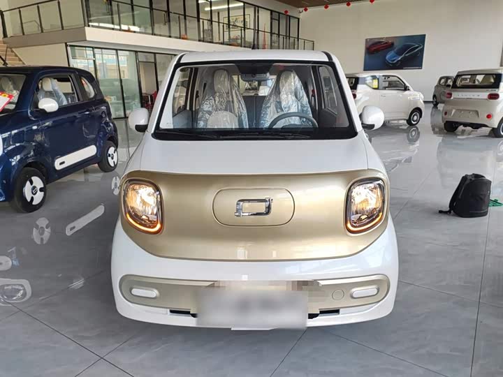 Фото 3 - Bestune Pony