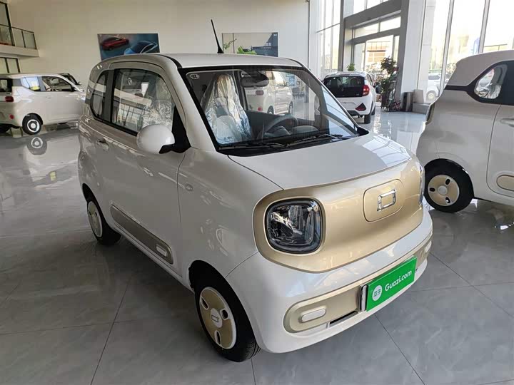 Фото 4 - Bestune Pony