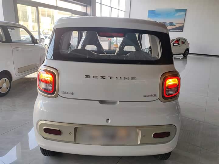 Фото 6 - Bestune Pony