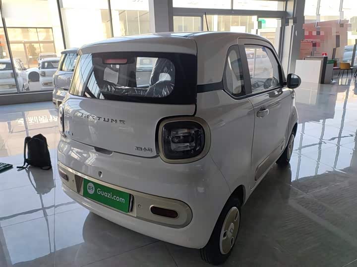 Фото 7 - Bestune Pony