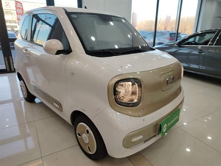 Фото 4 - Bestune Pony