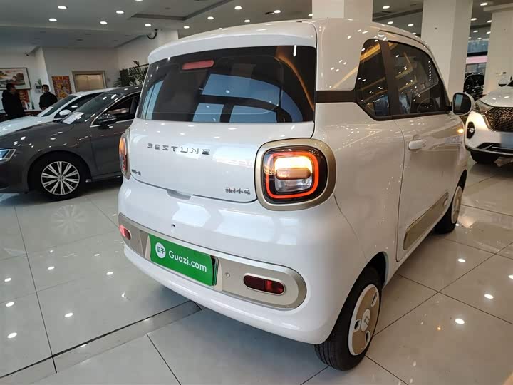 Фото 7 - Bestune Pony