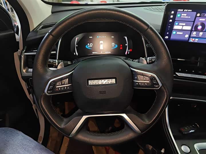 Фото 11 - Haval H6