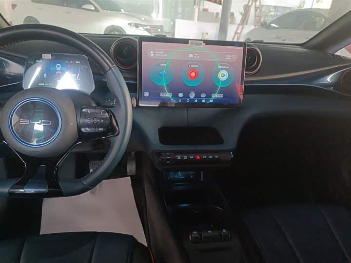 Фото 10 - BYD Dolphin