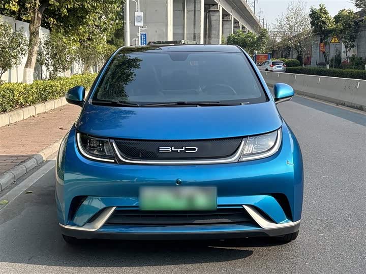 Фото 11 - BYD Dolphin