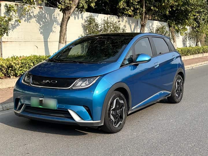 Фото 2 - BYD Dolphin