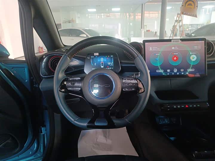 Фото 7 - BYD Dolphin