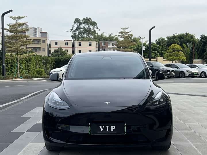 Фото 2 - Tesla Model Y
