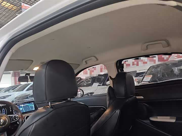 Фото 18 - Ora Black Cat