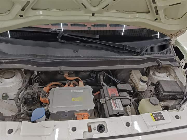 Фото 20 - Ora Black Cat