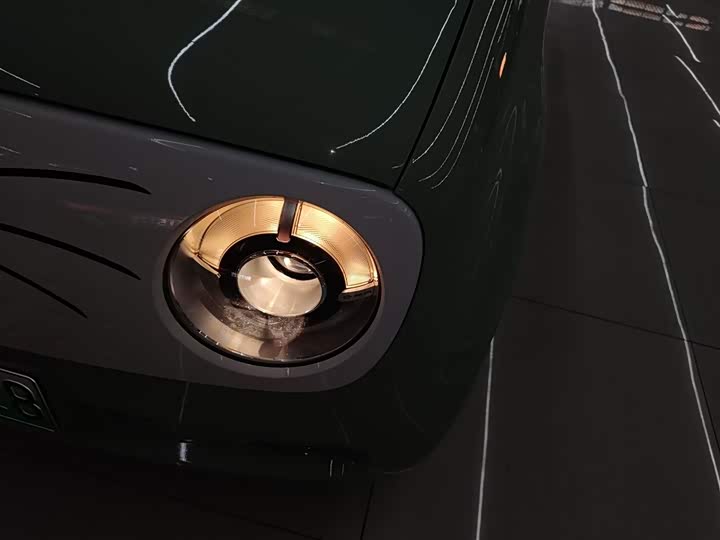 Фото 24 - Ora Black Cat