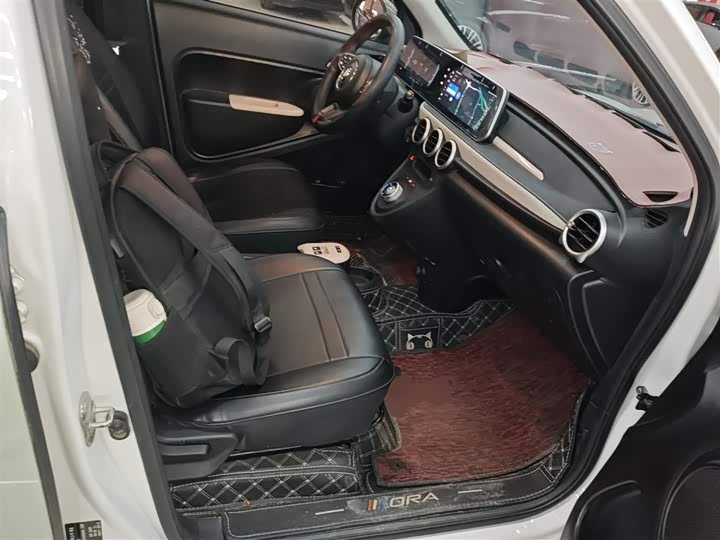 Фото 25 - Ora Black Cat