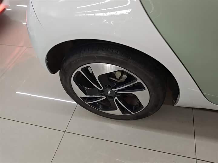 Фото 26 - Ora Black Cat