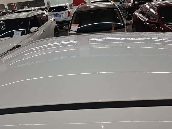 Фото 27 - Ora Black Cat