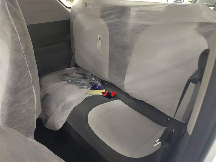 Фото 14 - Geely Galaxy Panda Mini