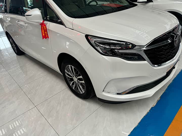 Фото 1 - Buick GL8 ES