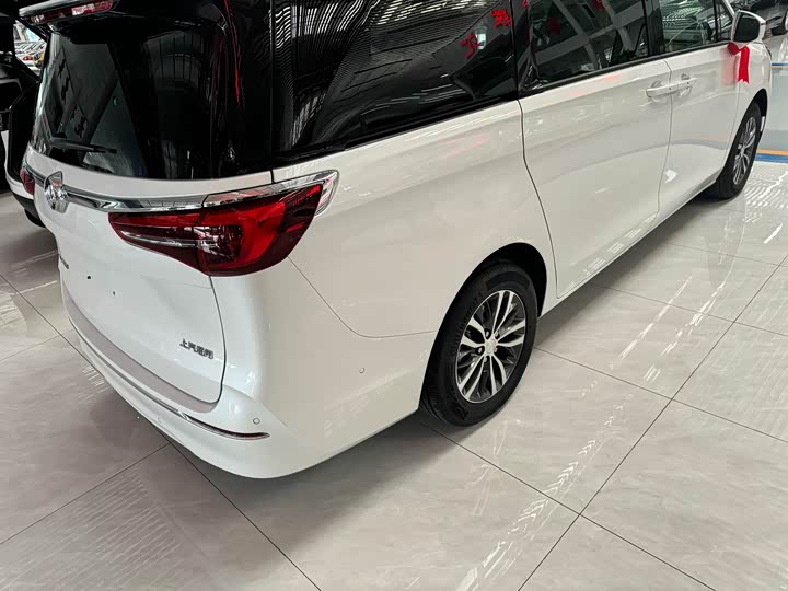 Фото 6 - Buick GL8 ES