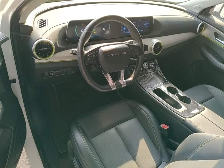 Фото 10 - Dongfeng Forthing Leiting