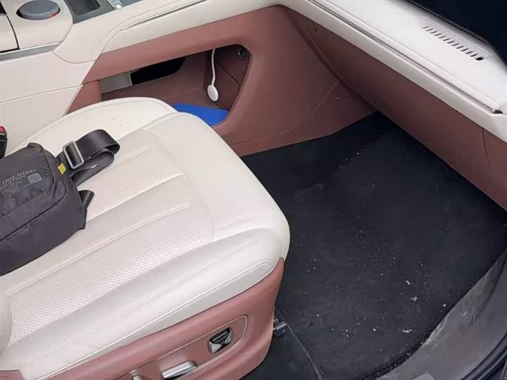 Фото 2 - BYD Xia