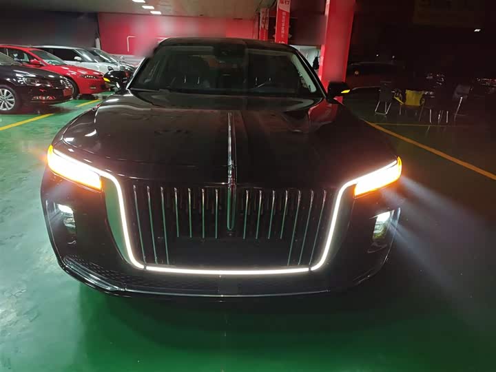 Фото 3 - Hongqi H9