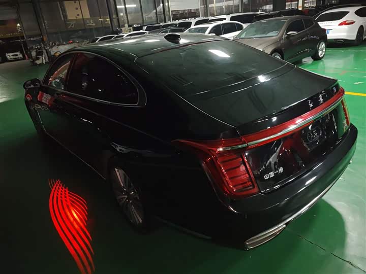 Фото 5 - Hongqi H9