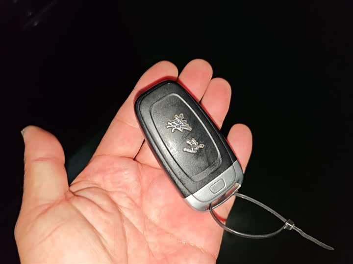 Фото 9 - Hongqi H9