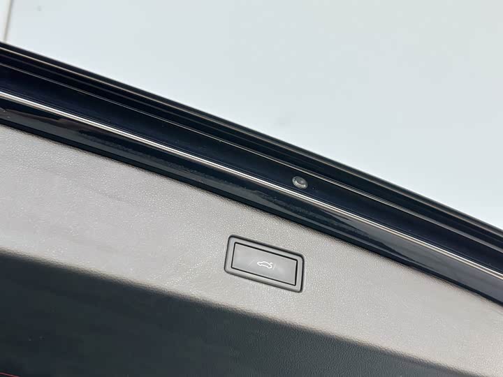 Фото 23 - Volkswagen Tiguan L Pro