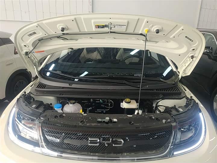 Фото 10 - BYD Dolphin