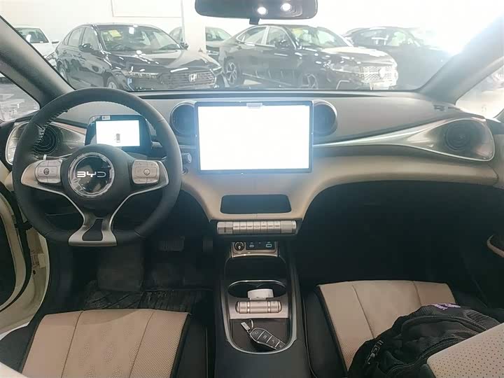 Фото 12 - BYD Dolphin