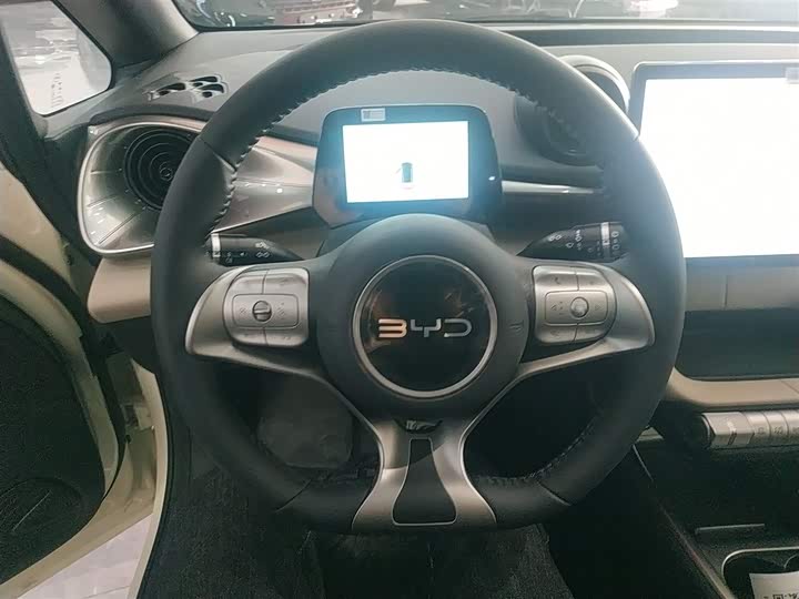 Фото 3 - BYD Dolphin