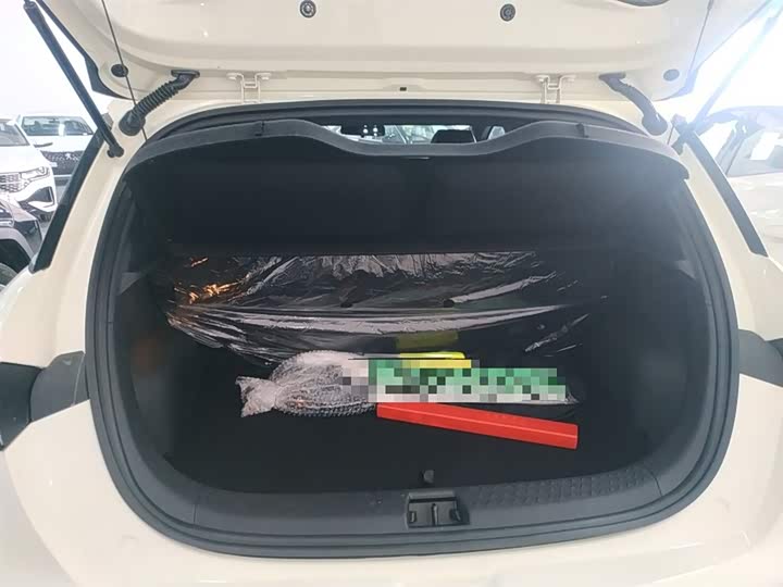 Фото 9 - BYD Dolphin