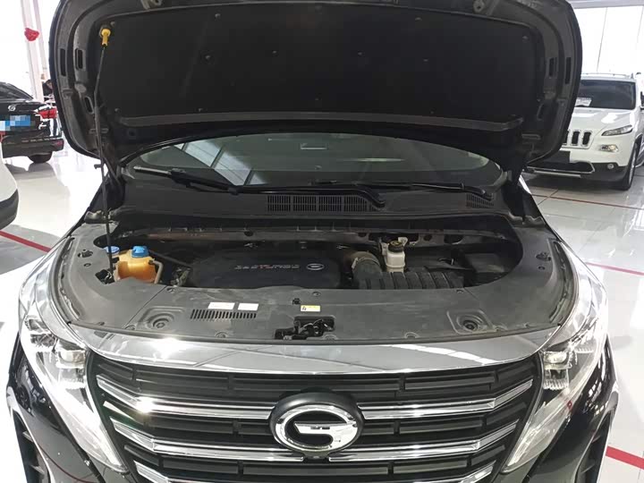 Фото 10 - GAC Trumpchi M8