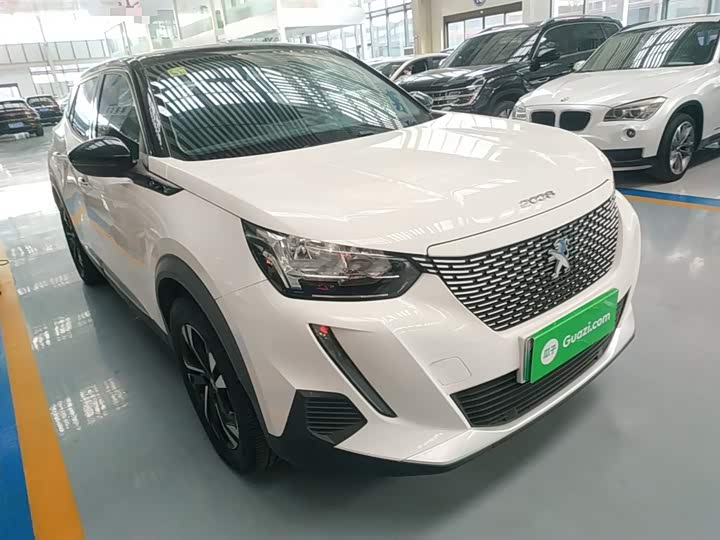 Фото 4 - Peugeot e2008