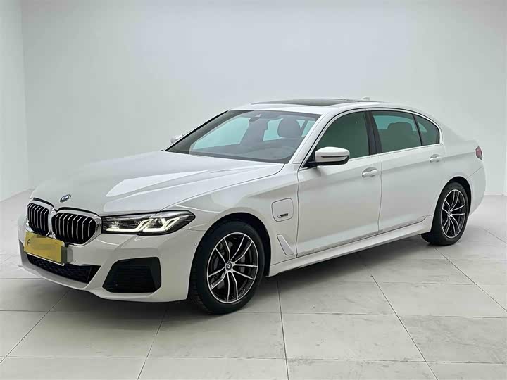 Фото 1 - BMW 5 Series Hybrid