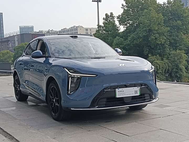 Фото 3 - IM motors LS6