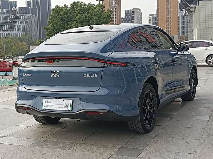 Фото 8 - IM motors LS6