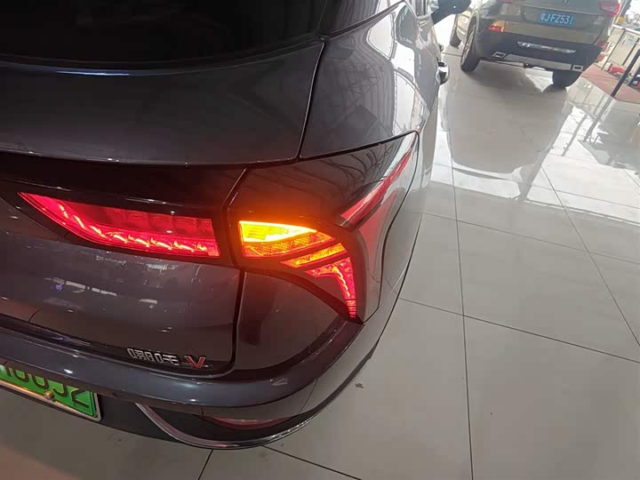 Фото 8 - Hozon V