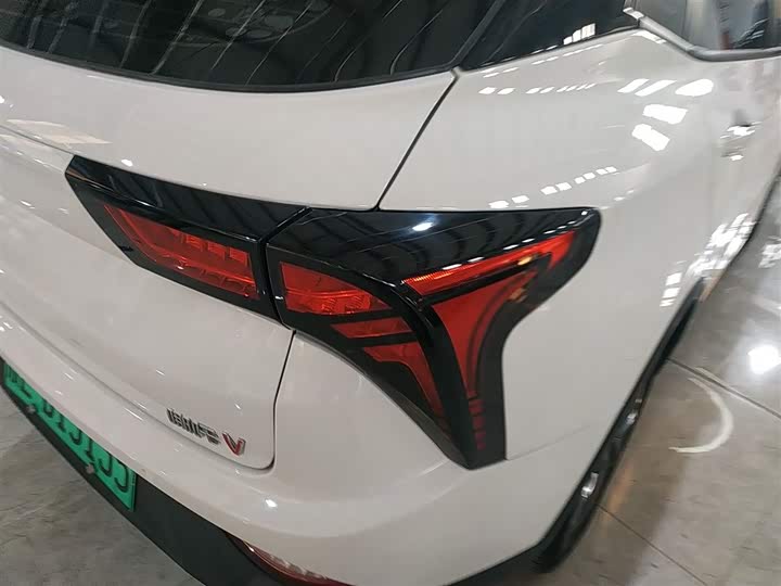 Фото 8 - Hozon V