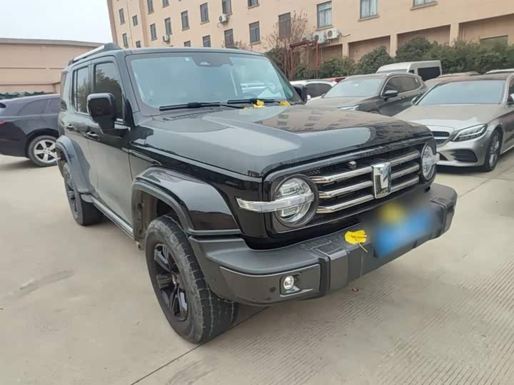 Фото 4 - Tank 300