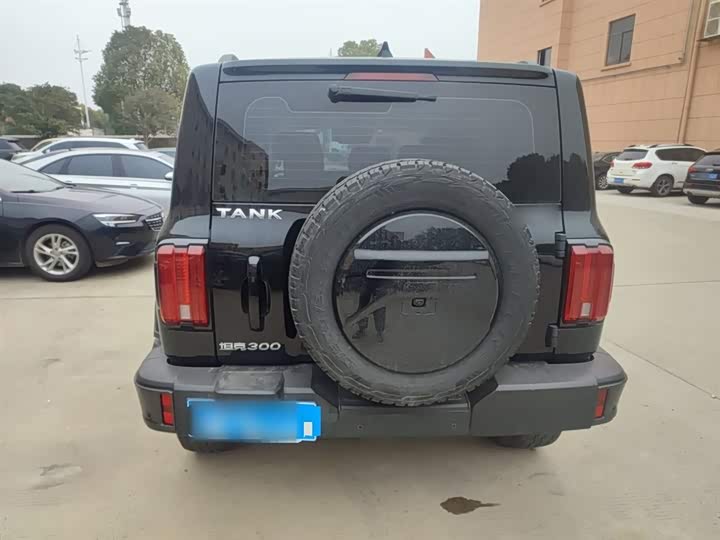 Фото 6 - Tank 300