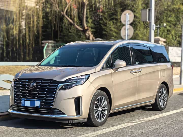 Фото 1 - Buick GL8 ES