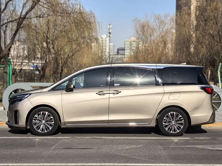 Фото 15 - Buick GL8 ES